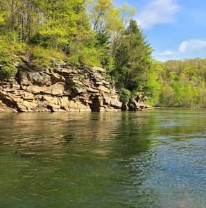 Meet your Posher, Ron